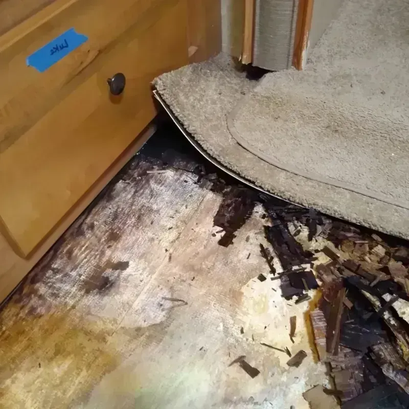 Best Wood Floor Water Damage Service in Clifton, AZ